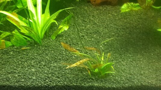 20160106_210215.jpg