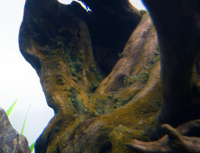 P1040645.JPG