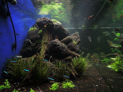 DSCN1758.JPG