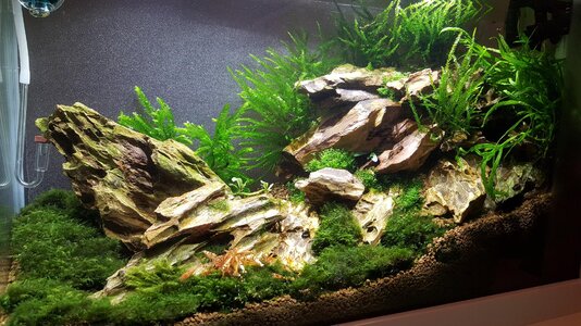 20160202_211656.jpg