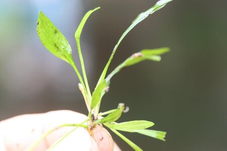 K800_IMG_1431.JPG