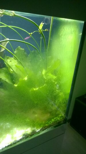 WP_20160214_002.jpg