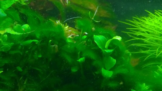 WP_20160224_18_01_08_Pro.jpg