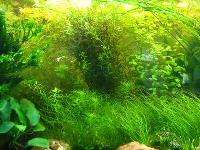Psych.Becken nach 14 Tagen 007_1400x1050.jpg
