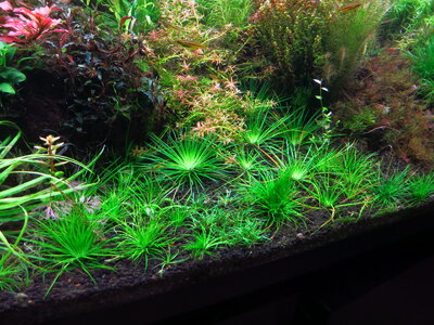 20151002175138.JPG