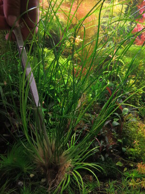 20150612143806.JPG