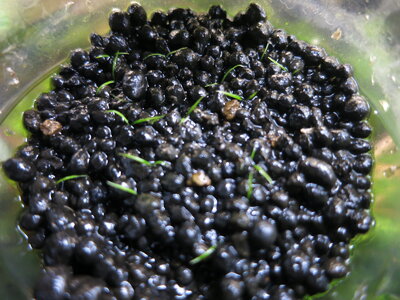 20160211191655.JPG