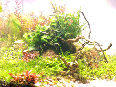 DSCN0430.JPG