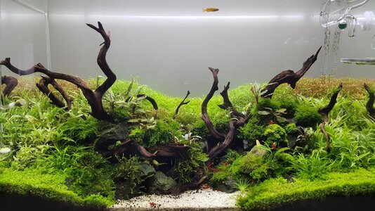 20160327_141053.jpg