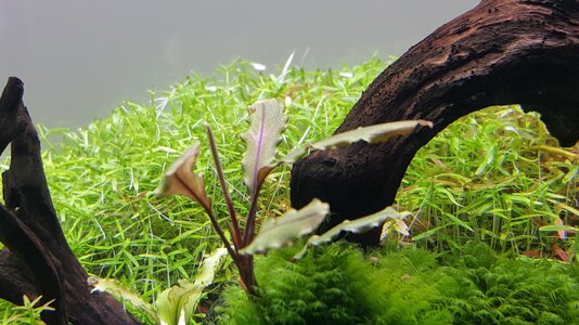 20160327_141343.jpg
