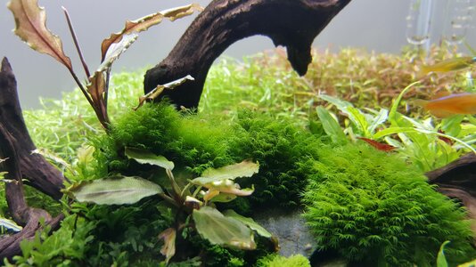 20160327_141426.jpg