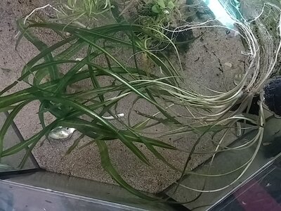 20160411_135103.jpg