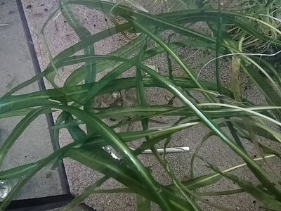 20160411_135117.jpg