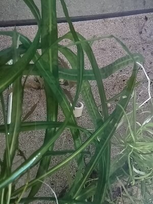 20160411_135128.jpg