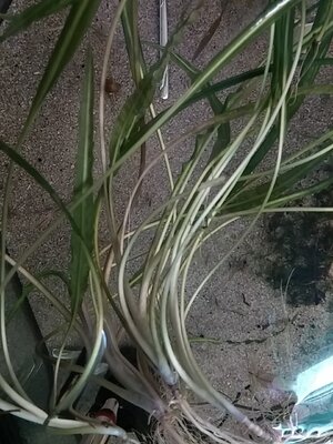 20160411_135137.jpg