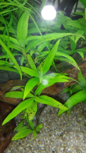 20160424_171637.jpg