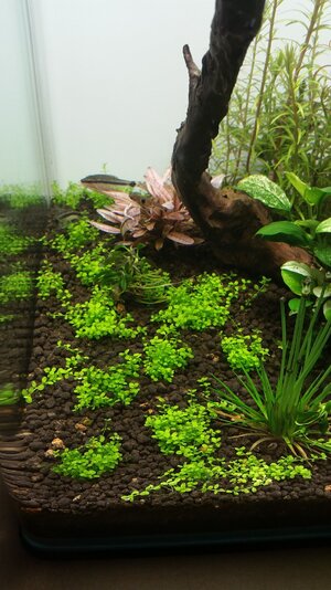 20160428_221428.jpg