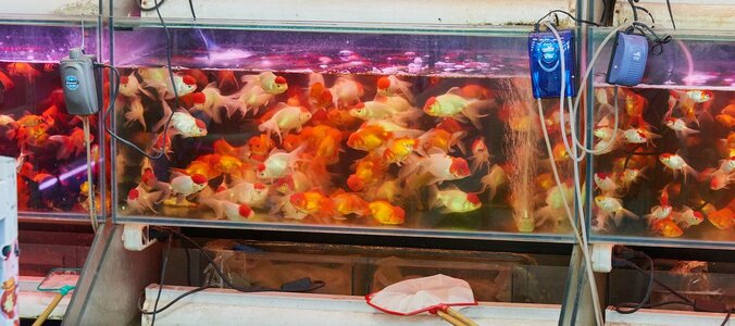 China_2016.04.11_080.jpg