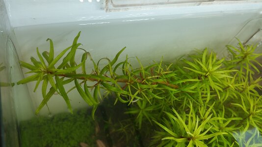 20160508_141410.jpg