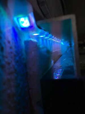 IMG_0572.JPG