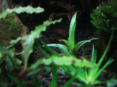 20160523220156.JPG