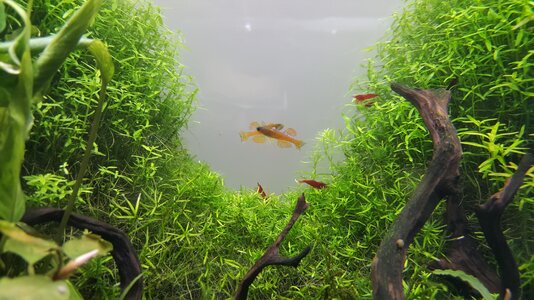 20160523_171833.jpg