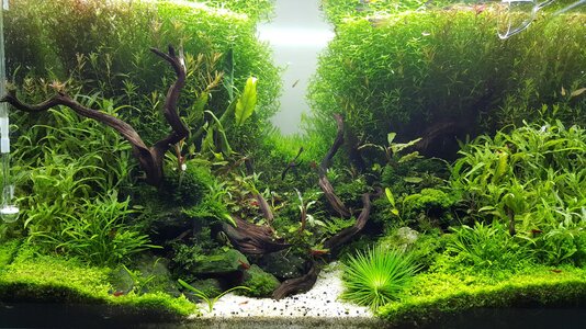 20160530_220033.jpg