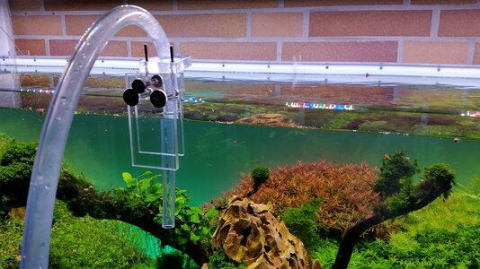 20160611_111507-25.jpg