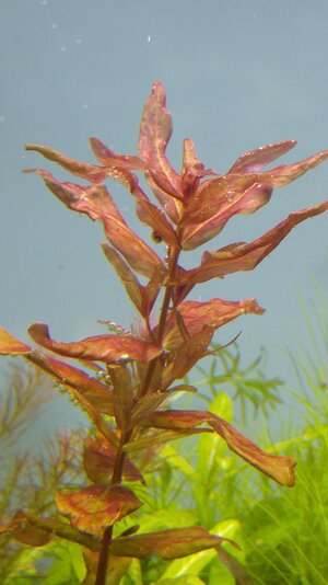 20160615_205635.jpg