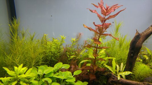 20160615_205649.jpg