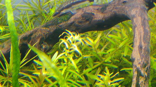 20160615_205735.jpg