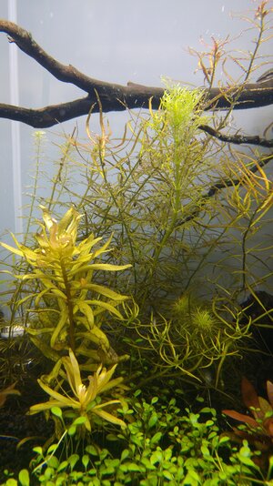 20160615_205754.jpg