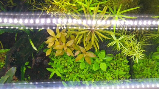 20160615_205843.jpg