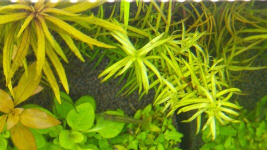 20160615_205853.jpg