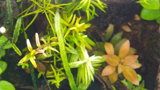 20160615_205904.jpg