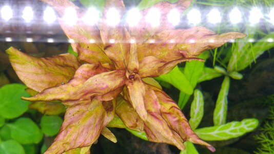 20160615_205913.jpg