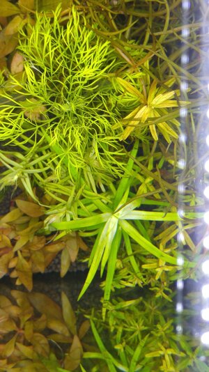 20160618_150248.jpg