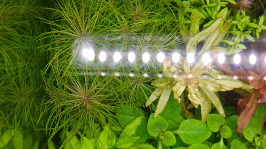 20160618_150258.jpg