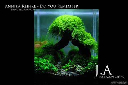 do-you-remember-5150c0e760eb1.jpg