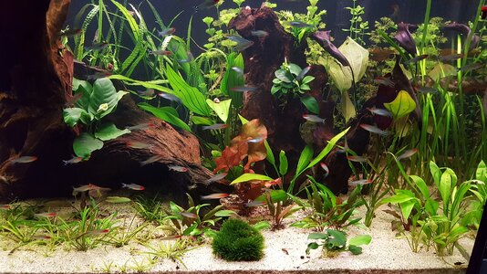20160629_212113.jpg