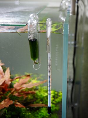 Temperatur.jpg