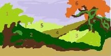 Skizze Am Rande des Fangorn.jpg