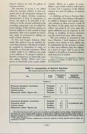S.30.jpg