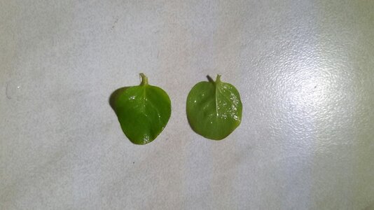 20160819_195525.jpg