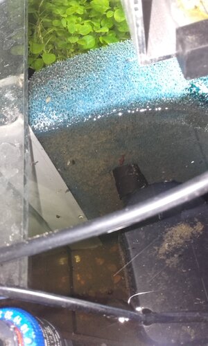 20160915_182143.jpg