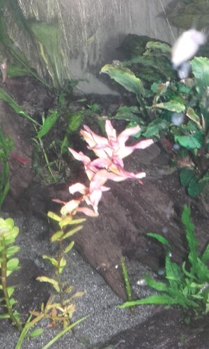 20160915_182226.jpg