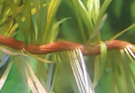 20160918_150522.jpg