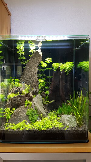 20161108_114514.jpg