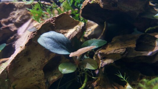 20161119_133004.jpg