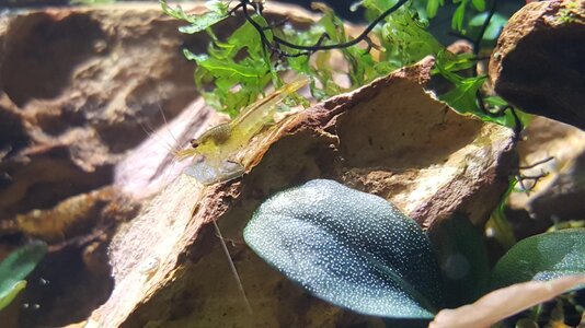 20161119_133027.jpg